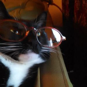 Meet your Posher, Hasan